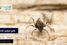 تخزين العفش وعلاج سوس الاخشاب في السعودية في 2023