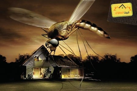 pest control service - البيت السعودي للخدمات المنزلية