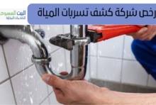 شركة كشف تسربات المياه